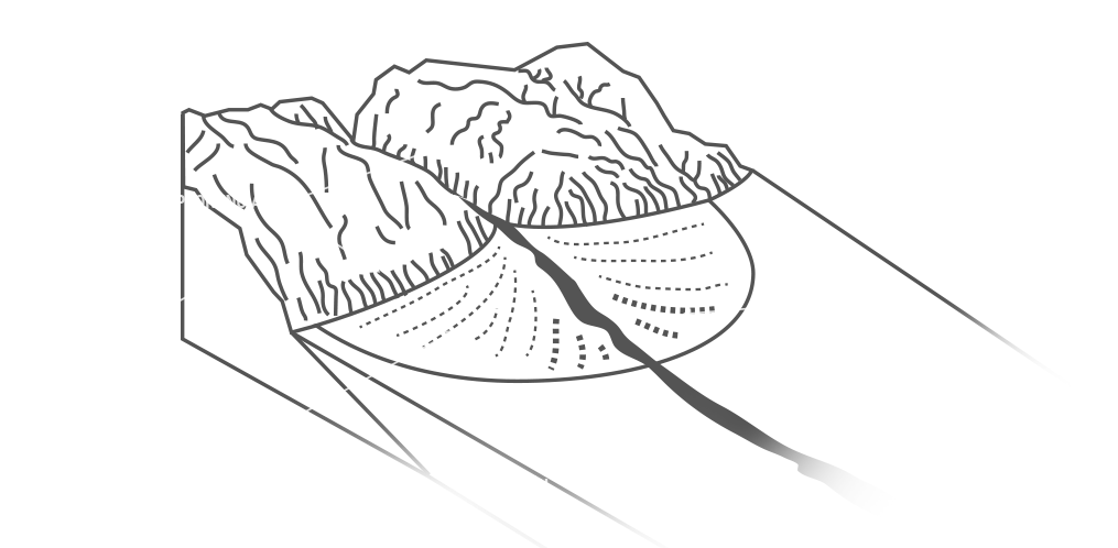 Viñedo - Los Chacayes - Mendoza