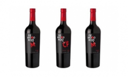 Originales vinos de Los Chacayes, Mendoza