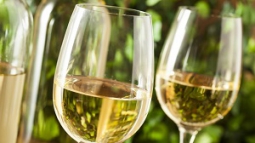 Vinos: se consolidan los White Blend y se vienen los blancos de corte